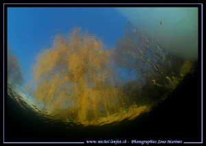 Winter Freshwater Atmosphere... Que du bonheur... :O)... by Michel Lonfat 